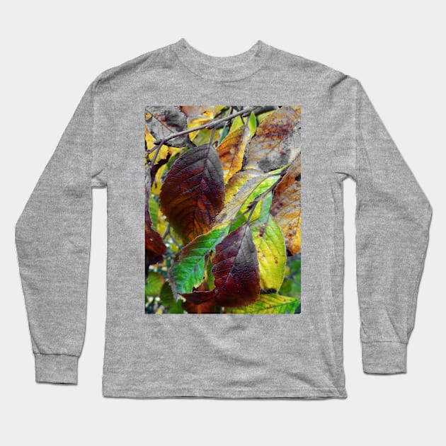 Nature Has Been Recycling For Ages Long Sleeve T-Shirt by PictureNZ